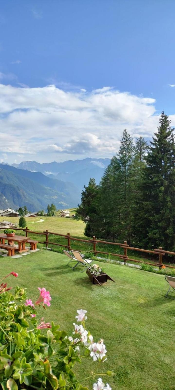 Le Coin Des Melezes - Nature & Trek - Camere In Baita Di Montagna Брюссон Екстер'єр фото