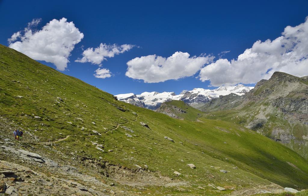 Le Coin Des Melezes - Nature & Trek - Camere In Baita Di Montagna Брюссон Екстер'єр фото
