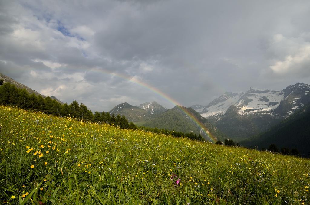 Le Coin Des Melezes - Nature & Trek - Camere In Baita Di Montagna Брюссон Екстер'єр фото