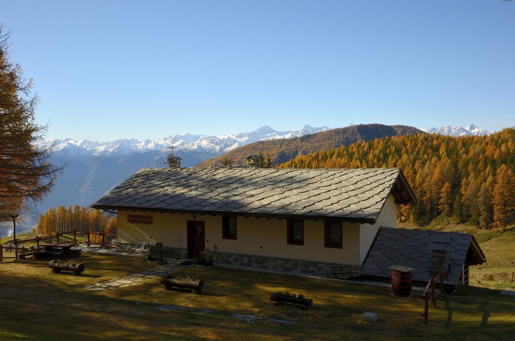 Le Coin Des Melezes - Nature & Trek - Camere In Baita Di Montagna Брюссон Екстер'єр фото