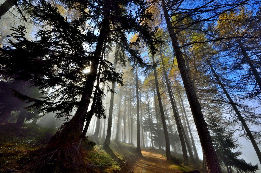 Le Coin Des Melezes - Nature & Trek - Camere In Baita Di Montagna Брюссон Екстер'єр фото