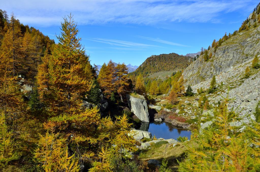 Le Coin Des Melezes - Nature & Trek - Camere In Baita Di Montagna Брюссон Екстер'єр фото
